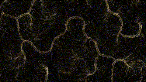 flow field